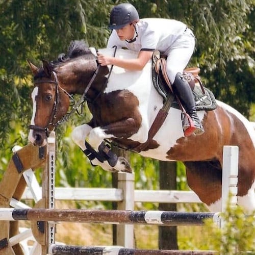 Feu sacre ter linden