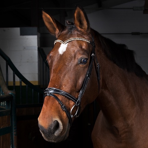 Valentina van schuttershof