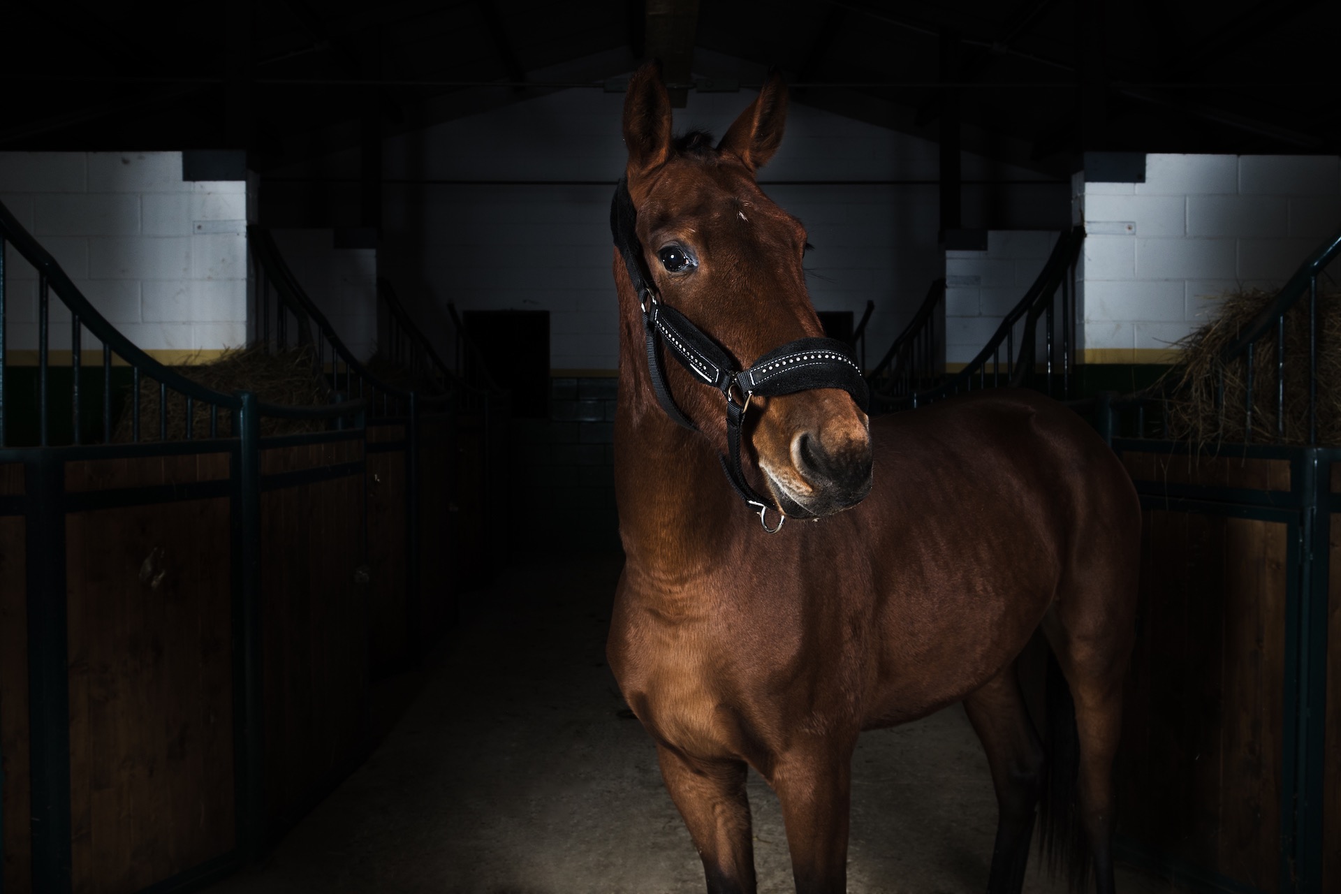 foto di Titania